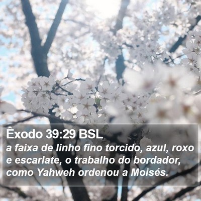 Êxodo 39:29 BSL Bible Verse Image