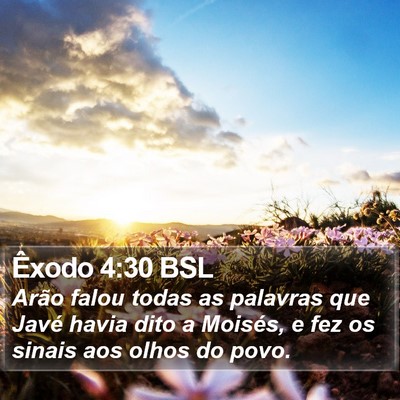 Êxodo 4:30 BSL Bible Verse Image