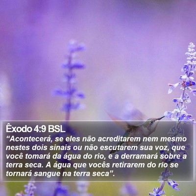 Êxodo 4:9 BSL Bible Verse Image