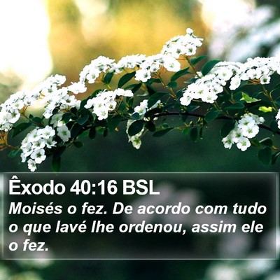 Êxodo 40:16 BSL Bible Verse Image