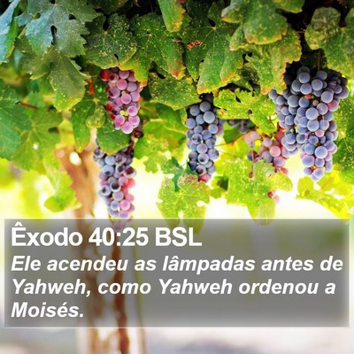 Êxodo 40:25 BSL Bible Verse Image
