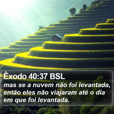 Êxodo 40:37 BSL Bible Verse Image