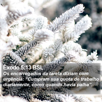 Êxodo 5:13 BSL Bible Verse Image