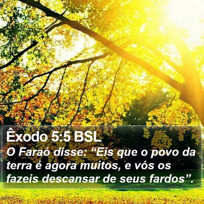 Êxodo 5:5 BSL Bible Verse Image