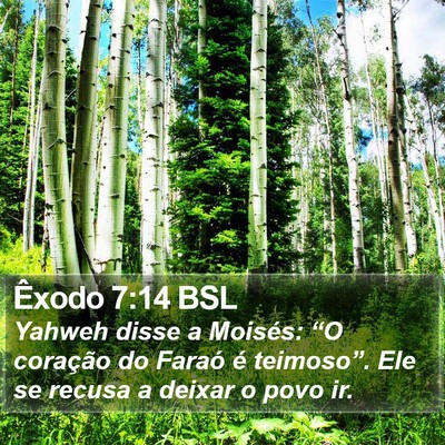 Êxodo 7:14 BSL Bible Verse Image
