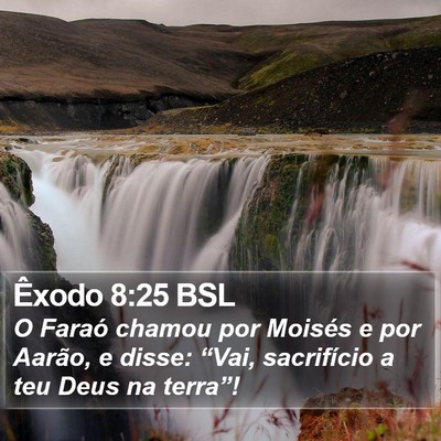 Êxodo 8:25 BSL Bible Verse Image