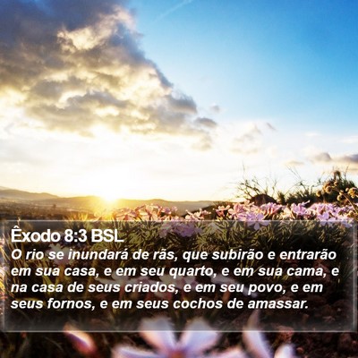 Êxodo 8:3 BSL Bible Verse Image