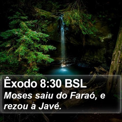 Êxodo 8:30 BSL Bible Verse Image