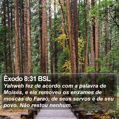 Êxodo 8:31 BSL Bible Verse Image