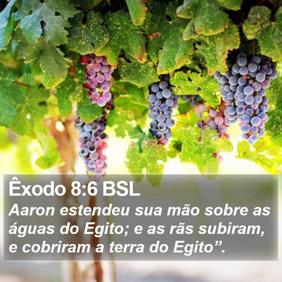 Êxodo 8:6 BSL Bible Verse Image