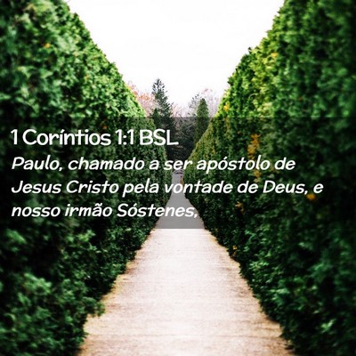 Picture 02 - 1 Coríntios 1:1 BSL - Paulo, chamado a ser apóstolo de Jesus Cristo - Bible Verse Picture