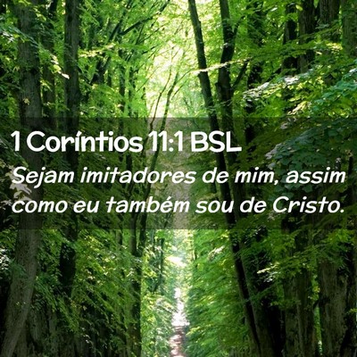 Picture 02 - 1 Coríntios 11:1 BSL - Sejam imitadores de mim, assim como eu também - Bible Verse Picture