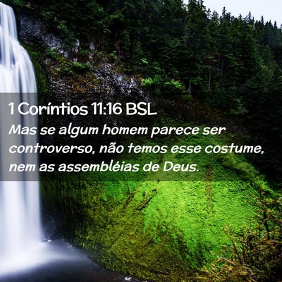 Picture 02 - 1 Coríntios 11:16 BSL - Mas se algum homem parece ser controverso, não - Bible Verse Picture