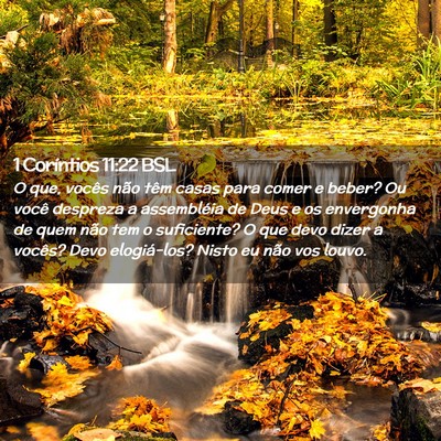 Picture 02 - 1 Coríntios 11:22 BSL - O que, vocês não têm casas para comer e beber? - Bible Verse Picture