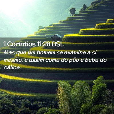 Picture 02 - 1 Coríntios 11:28 BSL - Mas que um homem se examine a si mesmo, e assim - Bible Verse Picture
