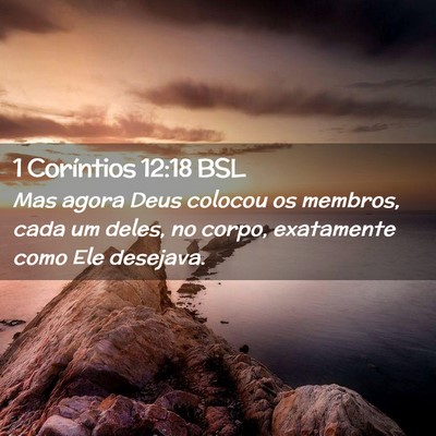 Picture 02 - 1 Coríntios 12:18 BSL - Mas agora Deus colocou os membros, cada um deles, - Bible Verse Picture