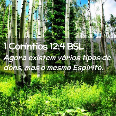Picture 02 - 1 Coríntios 12:4 BSL - Agora existem vários tipos de dons, mas o mesmo - Bible Verse Picture