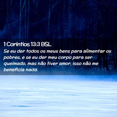 Picture 02 - 1 Coríntios 13:3 BSL - Se eu der todos os meus bens para alimentar os - Bible Verse Picture