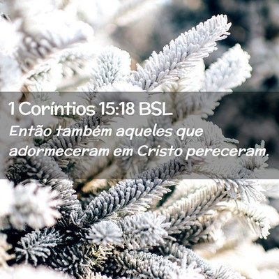 Picture 02 - 1 Coríntios 15:18 BSL - Então também aqueles que adormeceram em Cristo - Bible Verse Picture