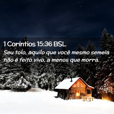 Picture 02 - 1 Coríntios 15:36 BSL - Seu tolo, aquilo que você mesmo semeia não é - Bible Verse Picture
