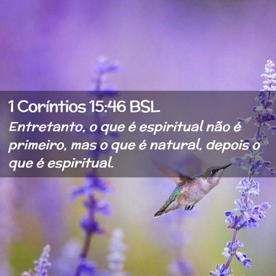 Picture 02 - 1 Coríntios 15:46 BSL - Entretanto, o que é espiritual não é primeiro, - Bible Verse Picture