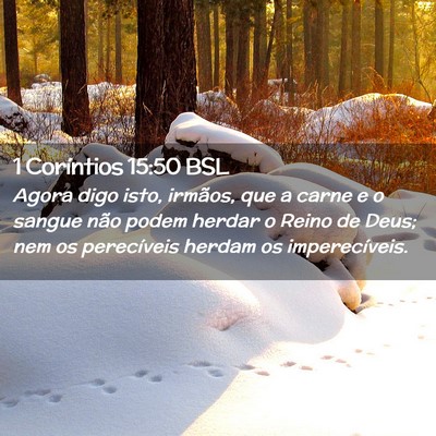 Picture 02 - 1 Coríntios 15:50 BSL - Agora digo isto, irmãos, que a carne e o sangue - Bible Verse Picture