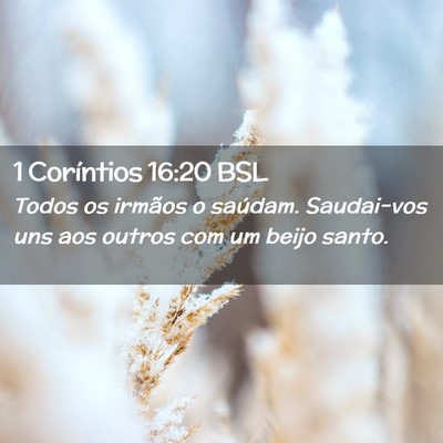 Picture 02 - 1 Coríntios 16:20 BSL - Todos os irmãos o saúdam. Saudai-vos uns aos - Bible Verse Picture