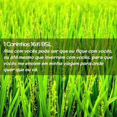 Picture 02 - 1 Coríntios 16:6 BSL - Mas com vocês pode ser que eu fique com vocês, - Bible Verse Picture