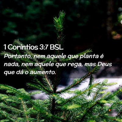 Picture 02 - 1 Coríntios 3:7 BSL - Portanto, nem aquele que planta é nada, nem - Bible Verse Picture
