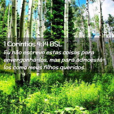 Picture 02 - 1 Coríntios 4:14 BSL - Eu não escrevo estas coisas para - Bible Verse Picture