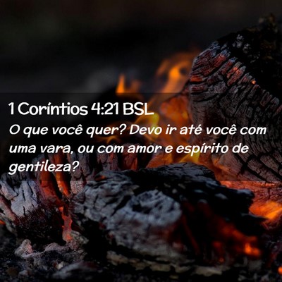Picture 02 - 1 Coríntios 4:21 BSL - O que você quer? Devo ir até você com uma - Bible Verse Picture