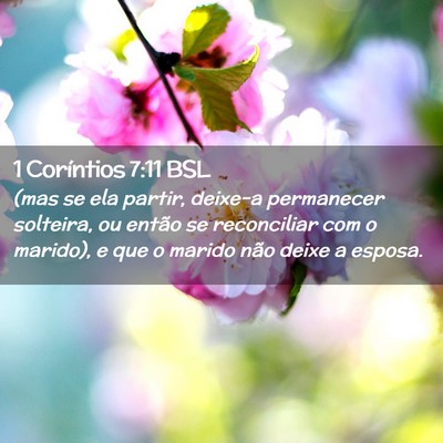 Picture 02 - 1 Coríntios 7:11 BSL - (mas se ela partir, deixe-a permanecer solteira, - Bible Verse Picture