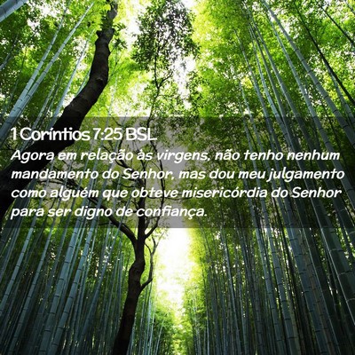 Picture 02 - 1 Coríntios 7:25 BSL - Agora em relação às virgens, não tenho nenhum - Bible Verse Picture