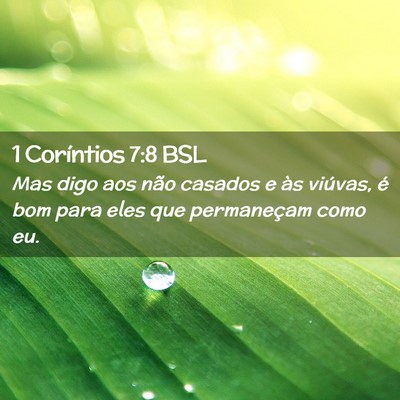 Picture 02 - 1 Coríntios 7:8 BSL - Mas digo aos não casados e às viúvas, é bom - Bible Verse Picture