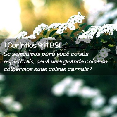 Picture 02 - 1 Coríntios 9:11 BSL - Se semeamos para você coisas espirituais, será - Bible Verse Picture