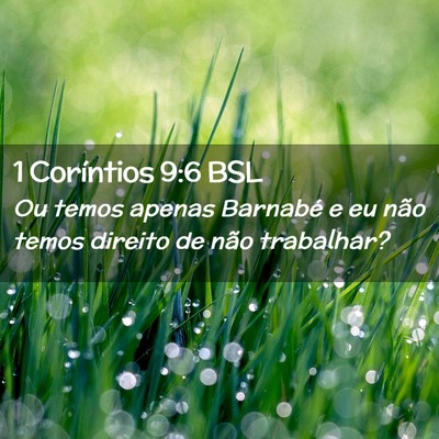 Picture 02 - 1 Coríntios 9:6 BSL - Ou temos apenas Barnabé e eu não temos direito - Bible Verse Picture