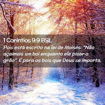 Picture 02 - 1 Coríntios 9:9 BSL - Pois está escrito na lei de Moisés: “Não - Bible Verse Picture