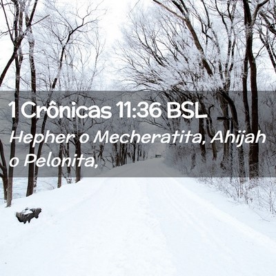 Picture 02 - 1 Crônicas 11:36 BSL - Hepher o Mecheratita, Ahijah o - Bible Verse Picture