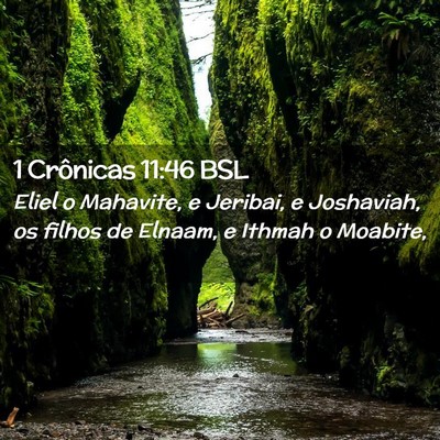 Picture 02 - 1 Crônicas 11:46 BSL - Eliel o Mahavite, e Jeribai, e Joshaviah, os - Bible Verse Picture