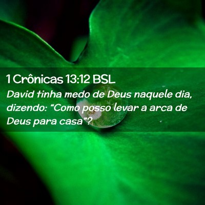 Picture 02 - 1 Crônicas 13:12 BSL - David tinha medo de Deus naquele dia, dizendo: - Bible Verse Picture