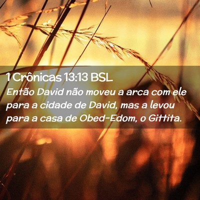 Picture 02 - 1 Crônicas 13:13 BSL - Então David não moveu a arca com ele para a - Bible Verse Picture