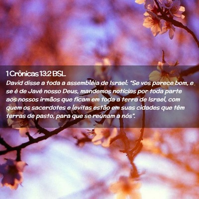Picture 02 - 1 Crônicas 13:2 BSL - David disse a toda a assembléia de Israel: “Se - Bible Verse Picture