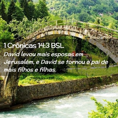 Picture 02 - 1 Crônicas 14:3 BSL - David levou mais esposas em Jerusalém, e David - Bible Verse Picture