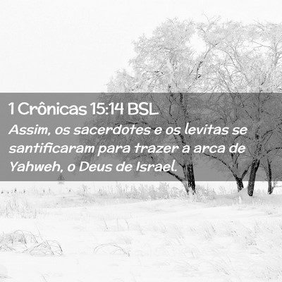 Picture 02 - 1 Crônicas 15:14 BSL - Assim, os sacerdotes e os levitas se santificaram - Bible Verse Picture