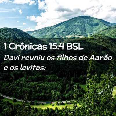 Picture 02 - 1 Crônicas 15:4 BSL - Davi reuniu os filhos de Aarão e os - Bible Verse Picture