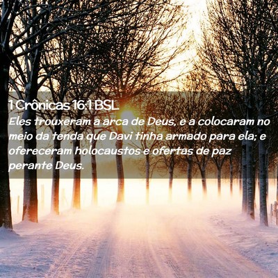 Picture 02 - 1 Crônicas 16:1 BSL - Eles trouxeram a arca de Deus, e a colocaram no - Bible Verse Picture