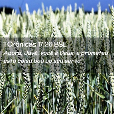 Picture 02 - 1 Crônicas 17:26 BSL - Agora, Javé, você é Deus, e prometeu esta - Bible Verse Picture