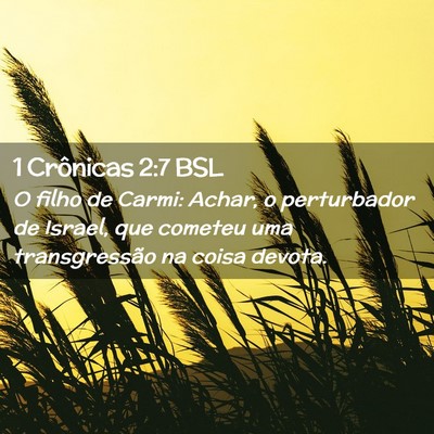 Picture 02 - 1 Crônicas 2:7 BSL - O filho de Carmi: Achar, o perturbador de Israel, - Bible Verse Picture