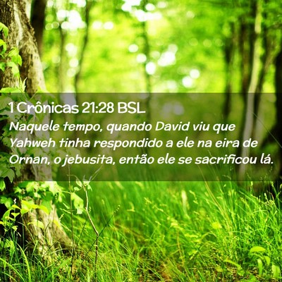 Picture 02 - 1 Crônicas 21:28 BSL - Naquele tempo, quando David viu que Yahweh tinha - Bible Verse Picture