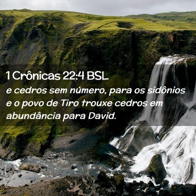 Picture 02 - 1 Crônicas 22:4 BSL - e cedros sem número, para os sidônios e o povo - Bible Verse Picture